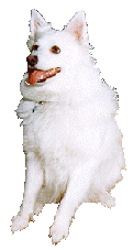 clyde.gif